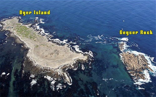 Dyer Island Nature Reserve Complex